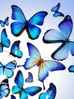 Butterfly Colorful Blue Drawing Art Beautiful Iphone   Wallpaper Ilikewallpaper Com
