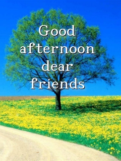 Good afternoon dear friends