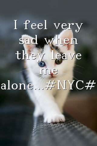 I feel very sad when they leave me alone...#NYC#