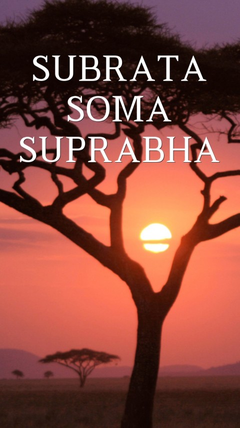 Daniel and writing on wall image