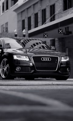 Audi (black)