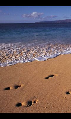 Beach Footprin...