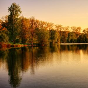 Galaxy S  Wallpaper Autumn Park On The Lake