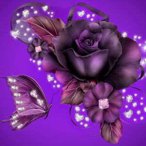 Purple Rose Desktop Background