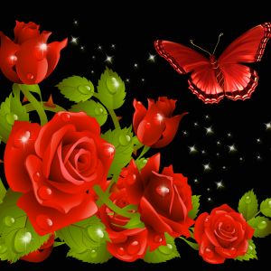 Red Roses Desktop Background