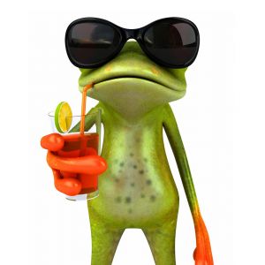Funny Frog Desktop Background