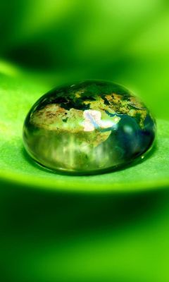 Droplet on green leaf