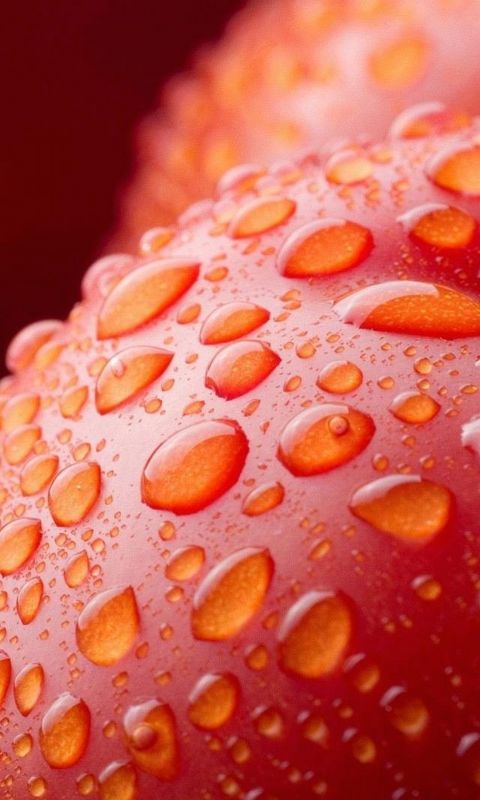 Droplets on tomato