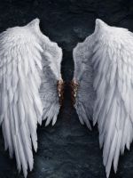 Angel Wings Abstract    X