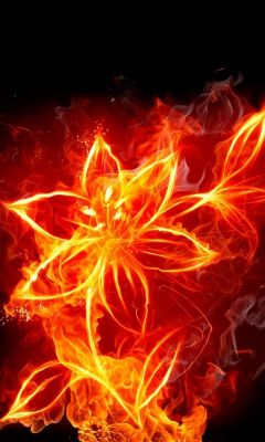 Abstract Fire Flaming Black Background Fire Flower     X