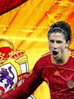 Fernando Torres Soccer     X