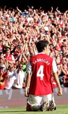 Soccer Arsenal Fc Cesc Fabregas     X