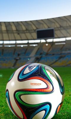 FIFA World Cup Brazil Soccer Ball