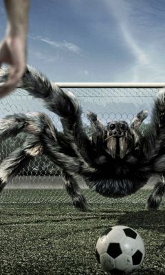 D View Soccer Spiders     X