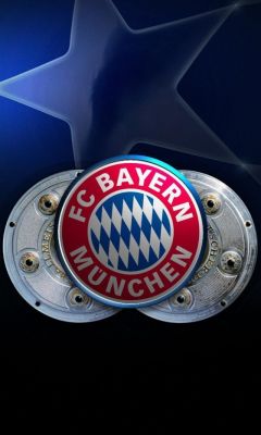 Bayern Munich Germany Champions League Soccer Flag       X