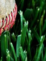 Baseball Sports Grass     X