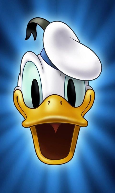 Donald Duck Cartoon Mobile Wallpaper     X
