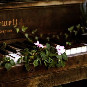 Jewett Vintage Piano Flowers On Keyboard HD Wallpaper  Vvallpaper Net