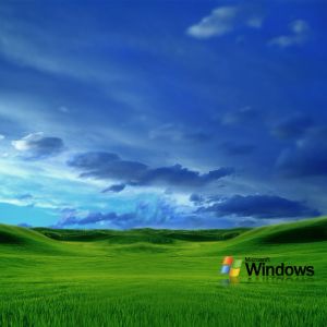 Microsoft Windows Wallpapers          X