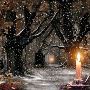 Christmas Snow Scene Wallpaper
