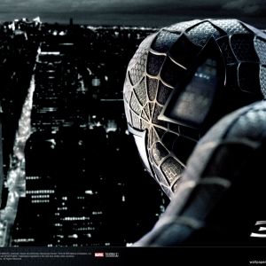 Spiderman   Www WallpaperMotion Com