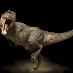 Predator Dinosaur Mouth Tyrannosaurus Other Free Hd