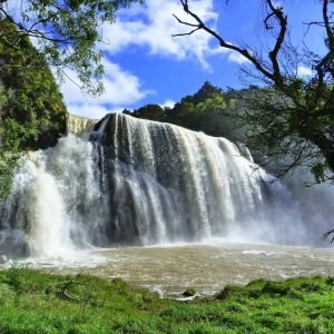 Waihi Falls Known Waterfall Perhaps Southernmost     X