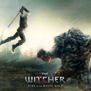 The Witcher Rise Of The White Wolf Wallpaper The Witcher Games