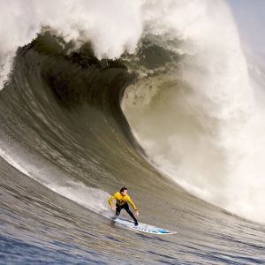 Surfer Rider Wallpaper