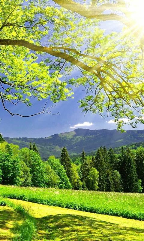 Green Mountains Nature Mobile Wallpaper for Insignia 5X