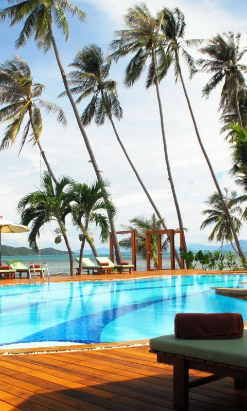 Tropical Resort Palm Trees Beautiful           X