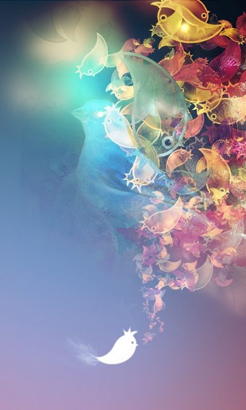 Birds  Flowers Abstract Wallpapers           X
