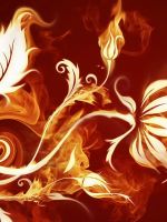 Yellow Orange Flower Abstract Wallpapers           X
