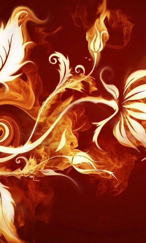 Yellow Orange Flower Abstract Wallpapers           X