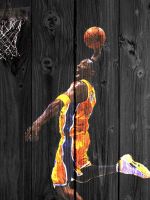 NBA Galaxy S  Wallpapers HD