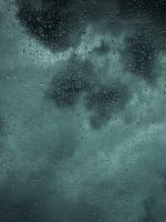 dew drops on glass panel wallpaper