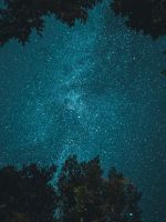 starry night wallpaper