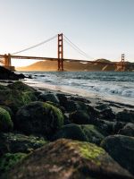 Golden Gate Bridge San Francisco at daytime wallpaper