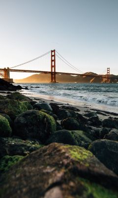 Golden Gate Bridge San Francisco at daytime wallpaper