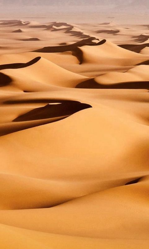 Pure Nature Wide Endless Desert Landscape wallpaper