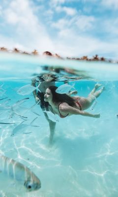 two people diving on clear body of water wallpaper