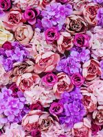 pink and purple petaled flower wallpaper