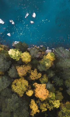 aerial photography of body of water near trees wallpaper