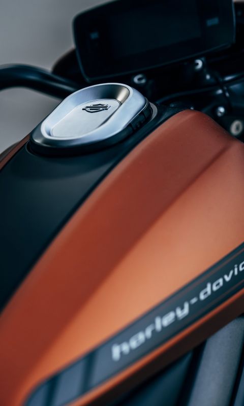 orange and black Harley Davidson backbone motorcyc... wallpaper