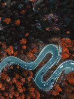 aerial photography of asphalt road surrounded with... wallpaper
