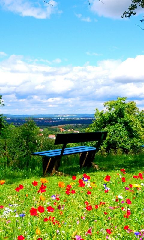 Clouds and Spring Flowers Best HD For Android Devi... wallpaper