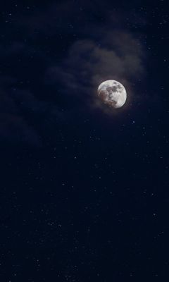 low angle photography of moon wallpaper
