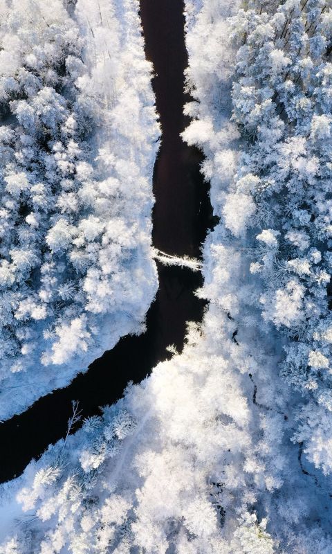 river near snow forest wallpaper