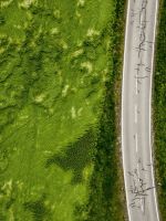aerial photo of empty concrete road between plants wallpaper
