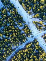aerial photography of green trees surrounding road... wallpaper